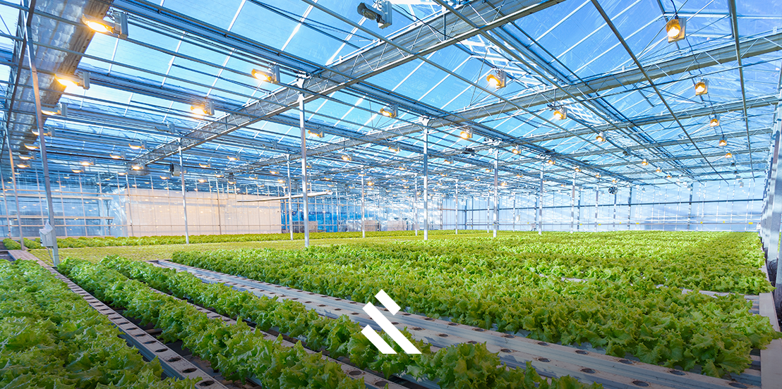 Controlling the Controlled Environment of a Commercial Greenhouse